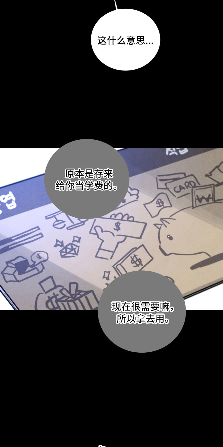 《流星落入掌中》第14章还好你在 第13页