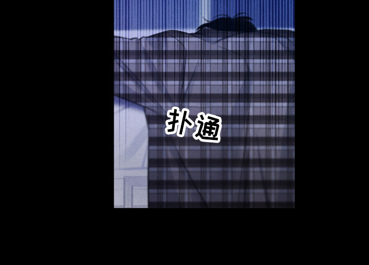 《流星落入掌中》第14章还好你在 第15页