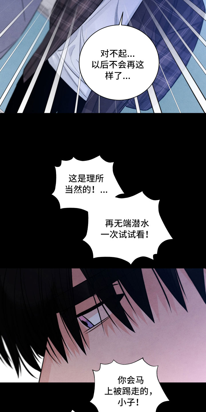 《流星落入掌中》第14章还好你在 第18页