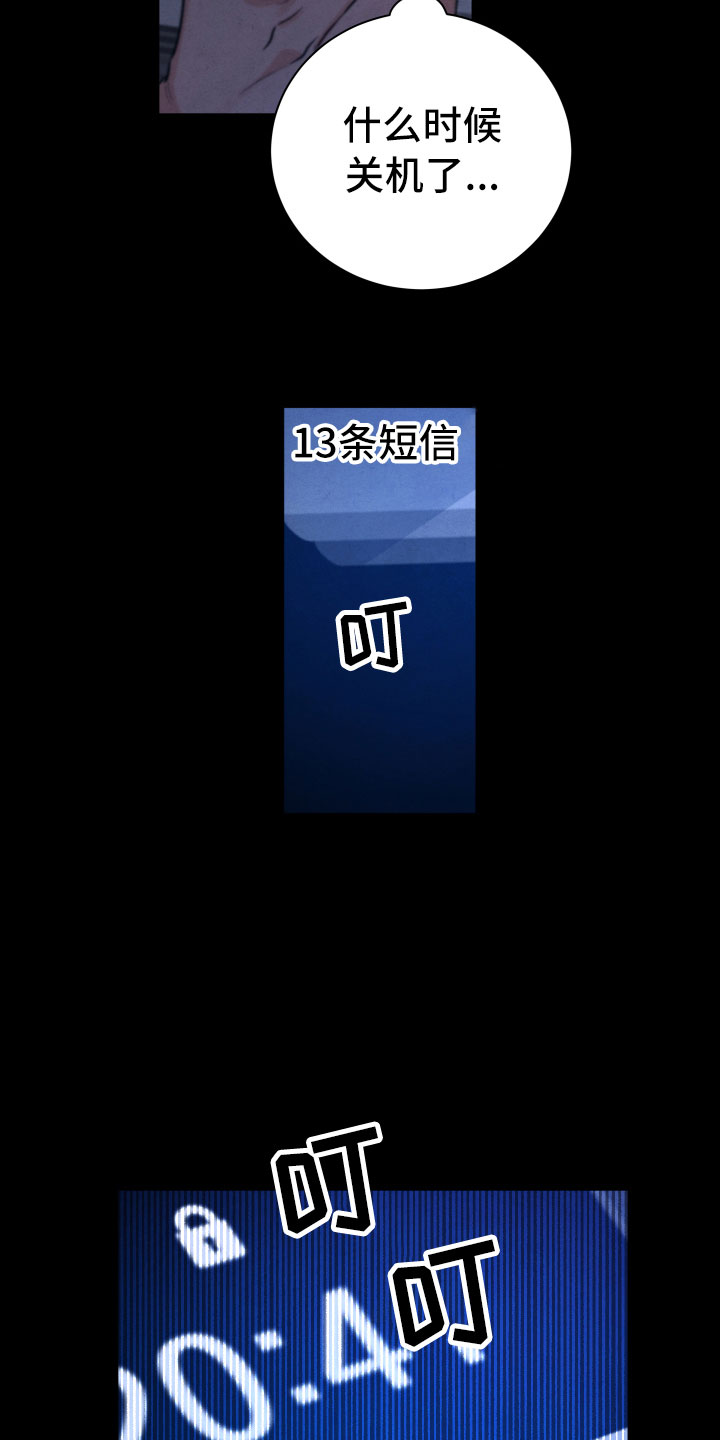 《流星落入掌中》第14章还好你在 第4页