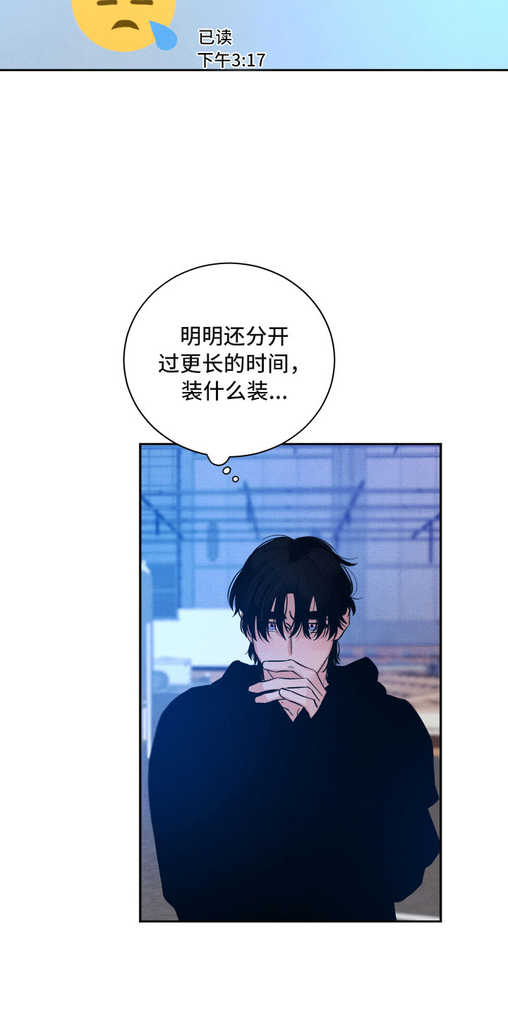 《流星落入掌中》第16章你是我的 第27页