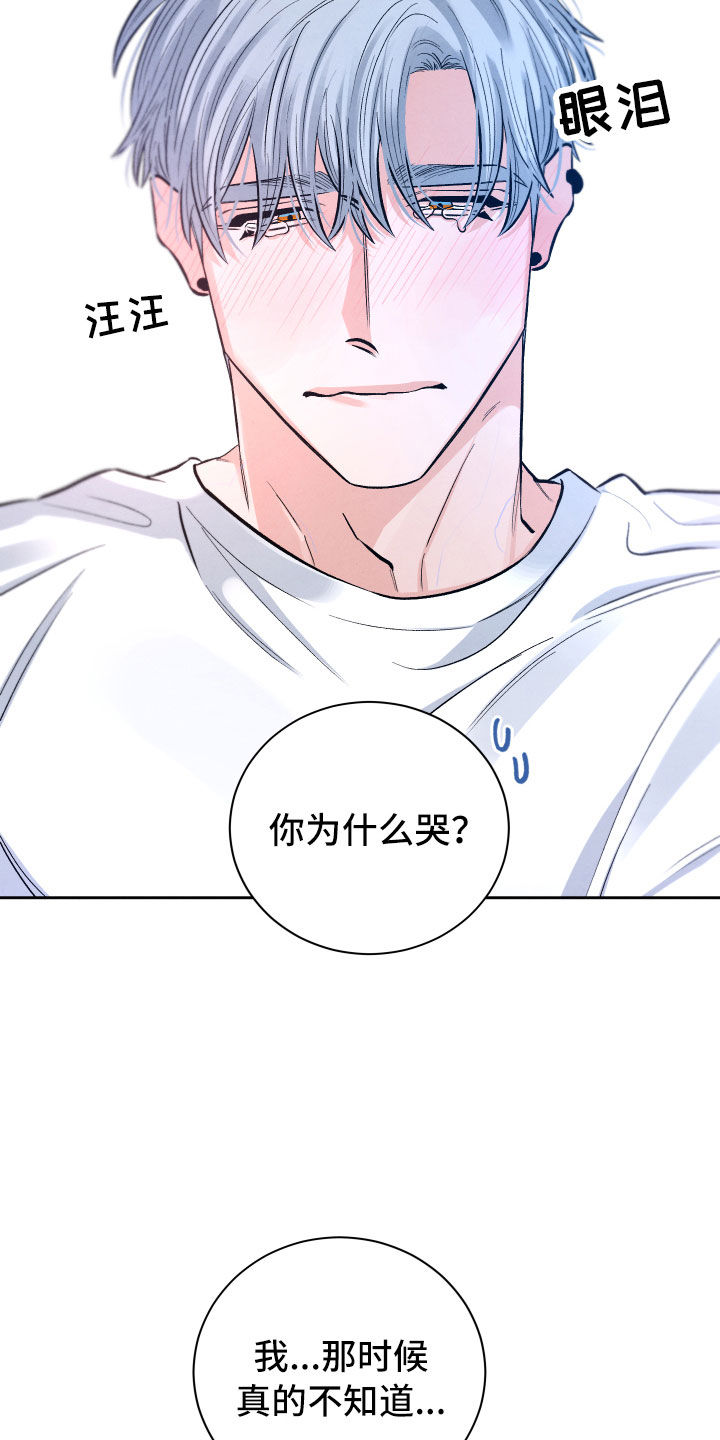 《流星落入掌中》第16章你是我的 第4页