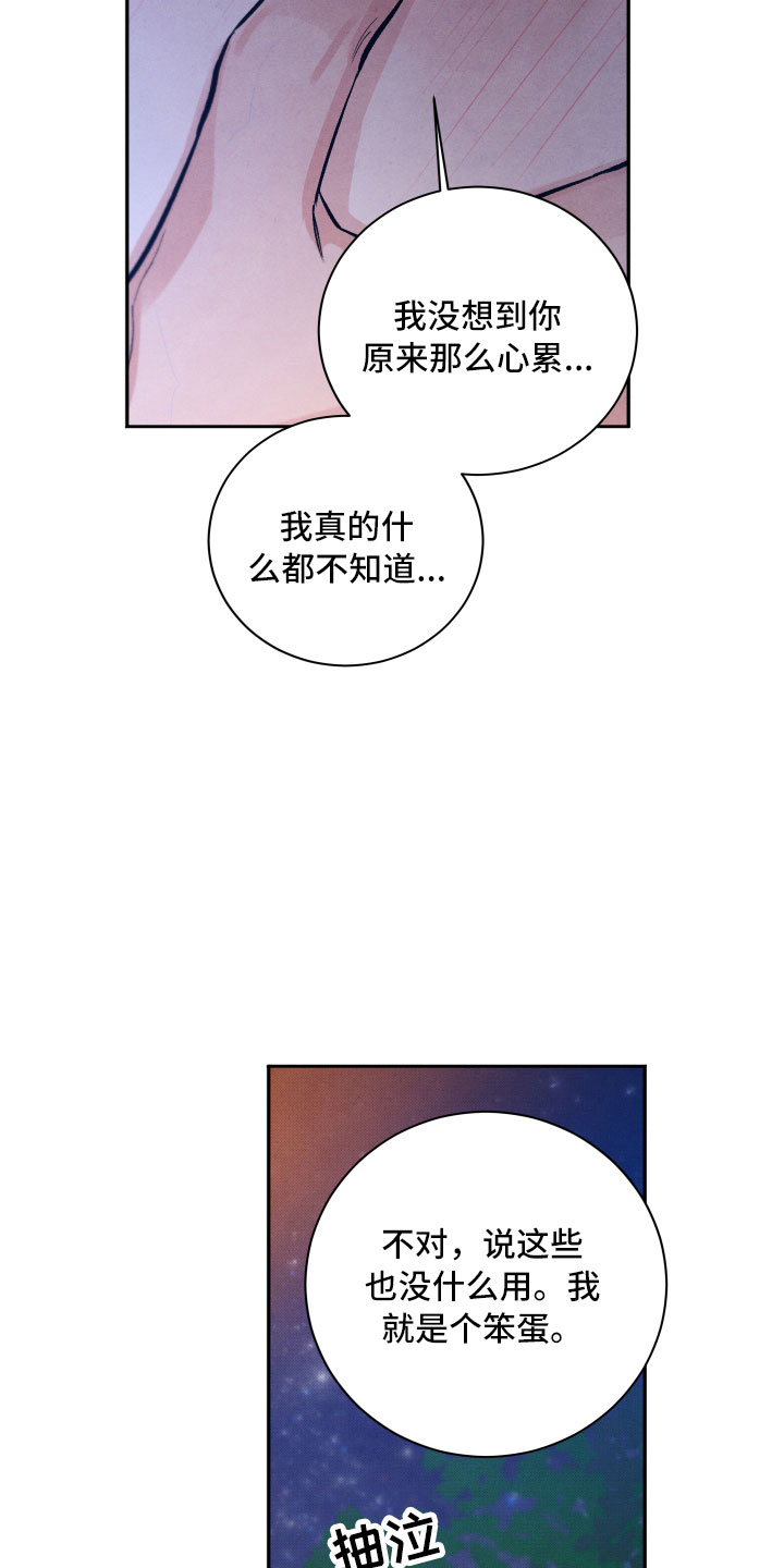 《流星落入掌中》第16章你是我的 第6页