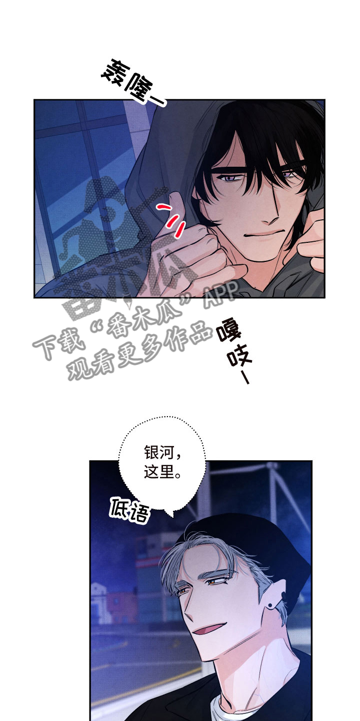 《流星落入掌中》第9章背后的视线 第20页