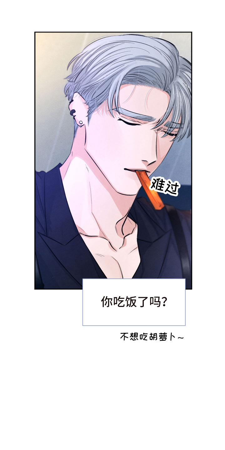 《流星落入掌中》第9章背后的视线 第3页
