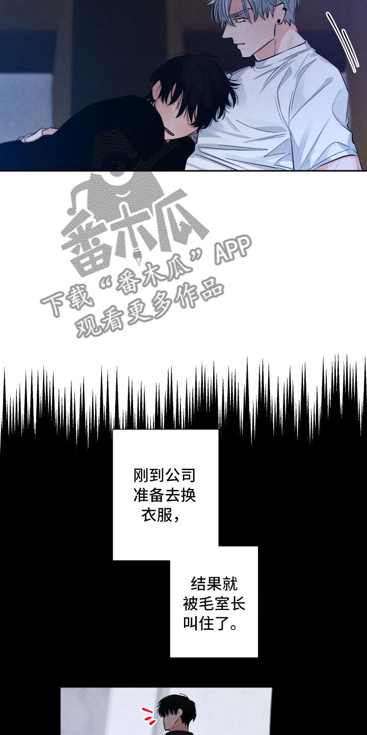《流星落入掌中》第12章追逐 第11页