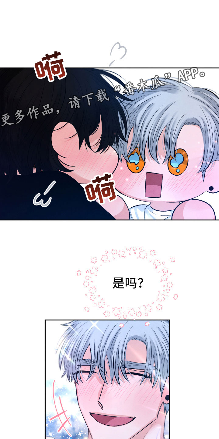 《流星落入掌中》第12章追逐 第1页