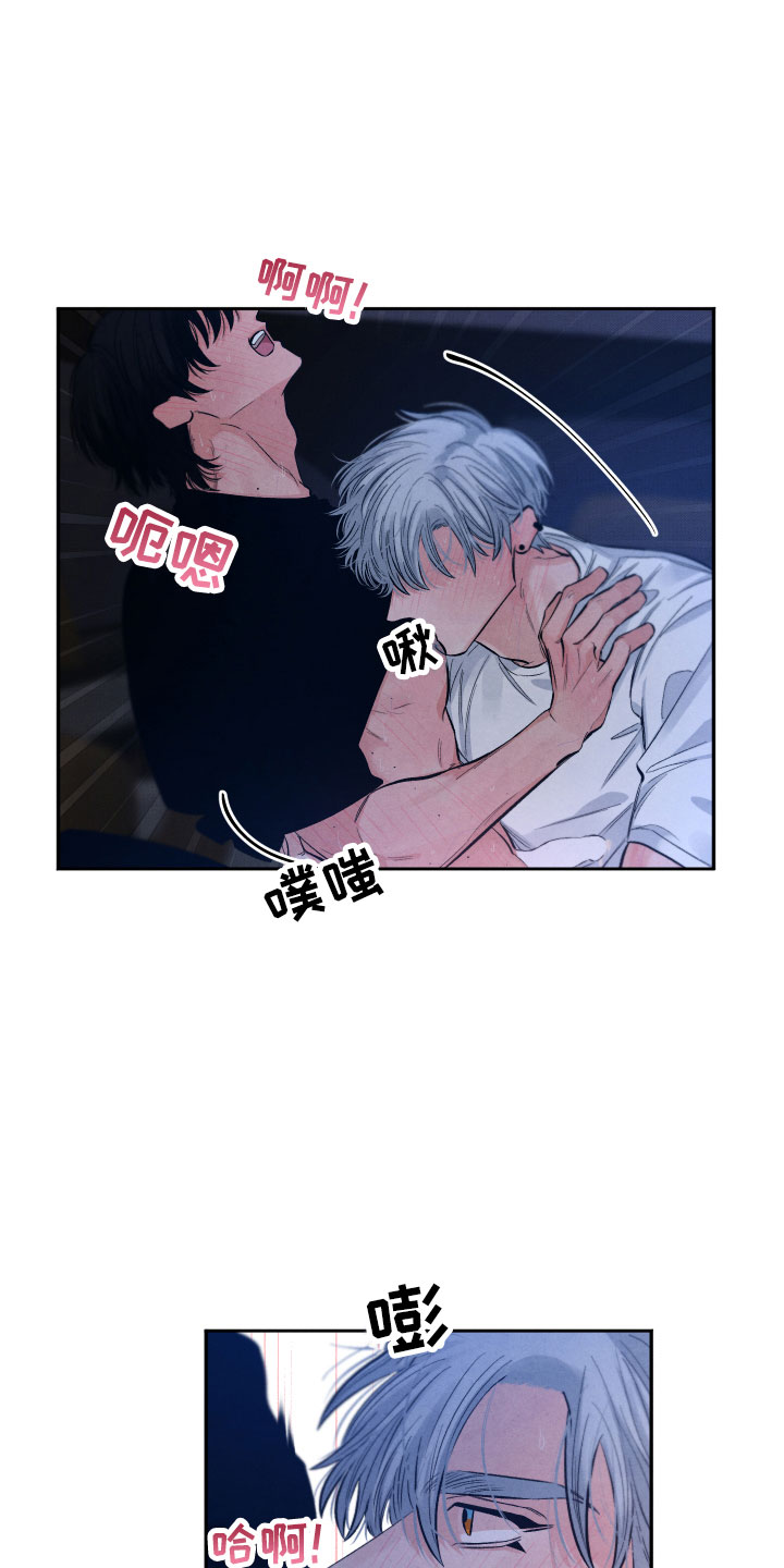 《流星落入掌中》第12章追逐 第3页