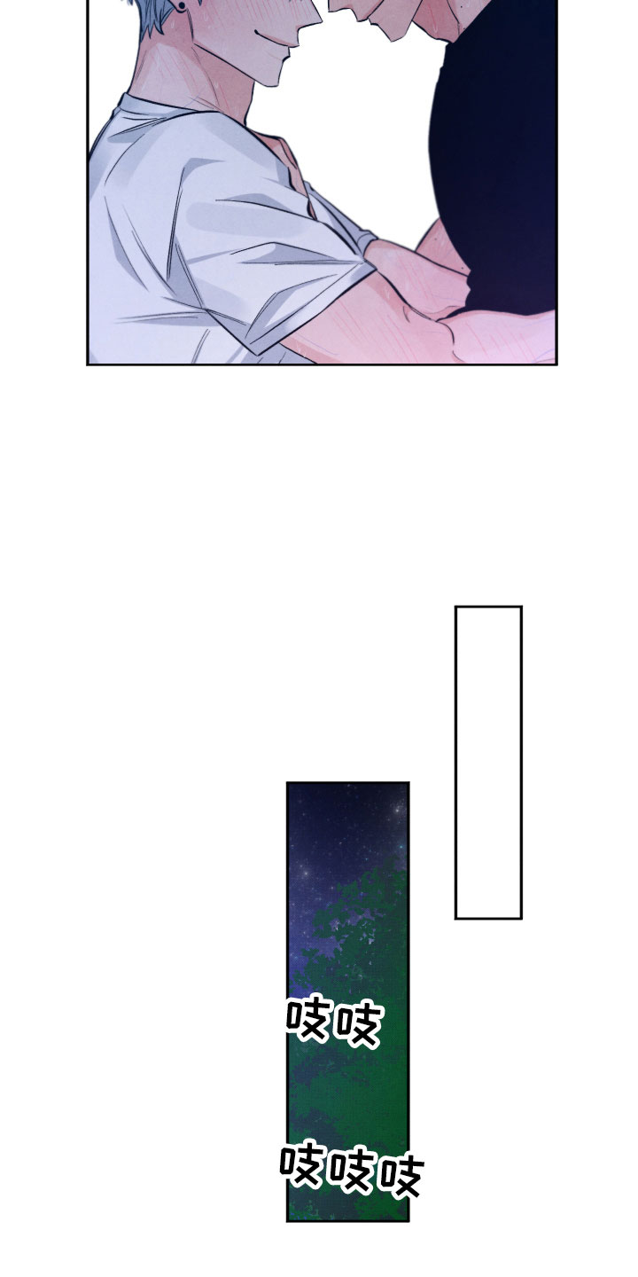 《流星落入掌中》第12章追逐 第7页