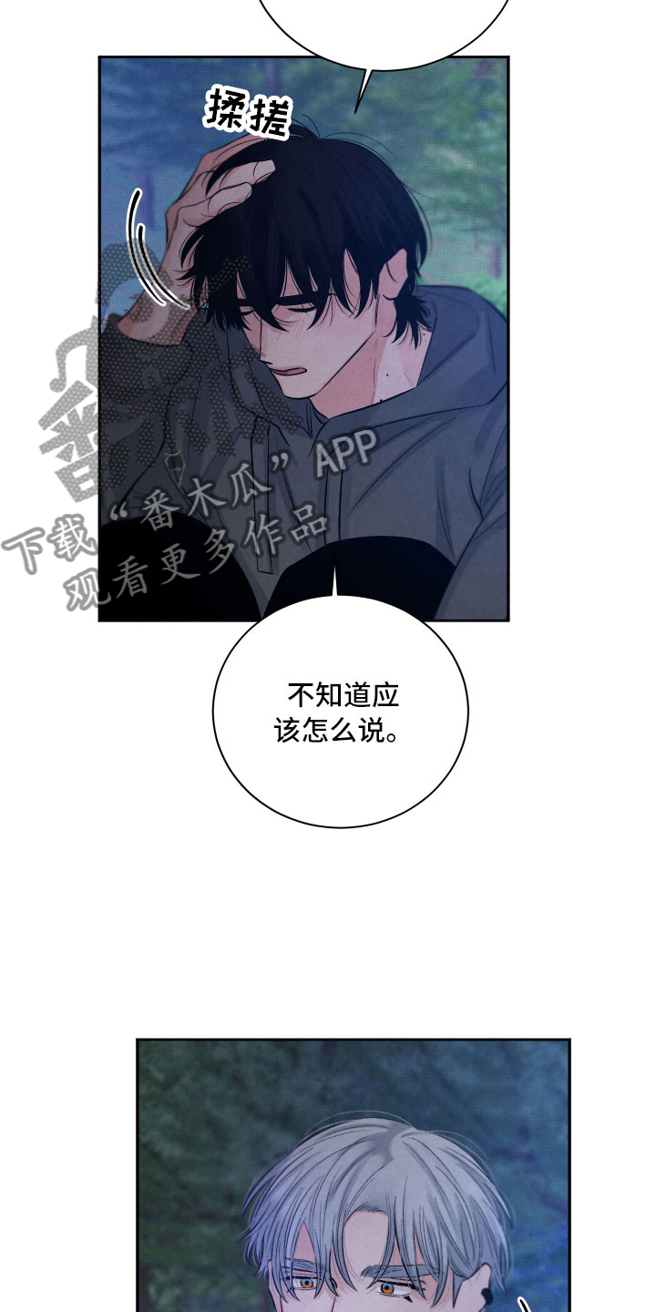 《流星落入掌中》第10章星空下 第14页