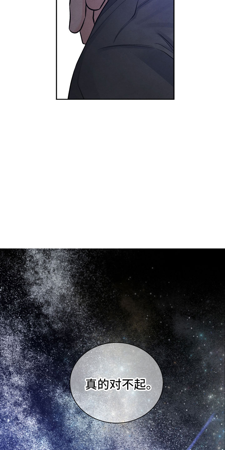 《流星落入掌中》第10章星空下 第19页