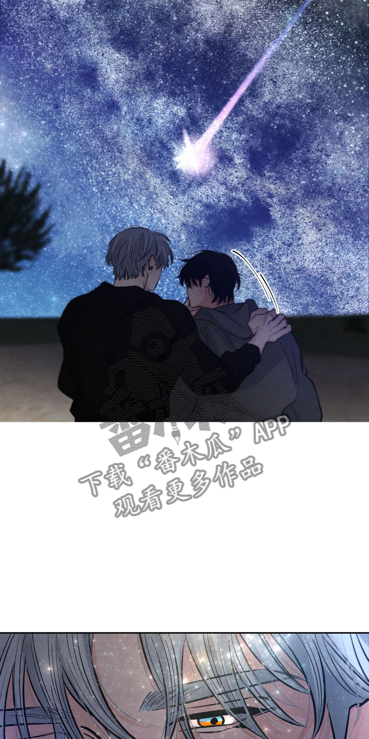 《流星落入掌中》第10章星空下 第20页