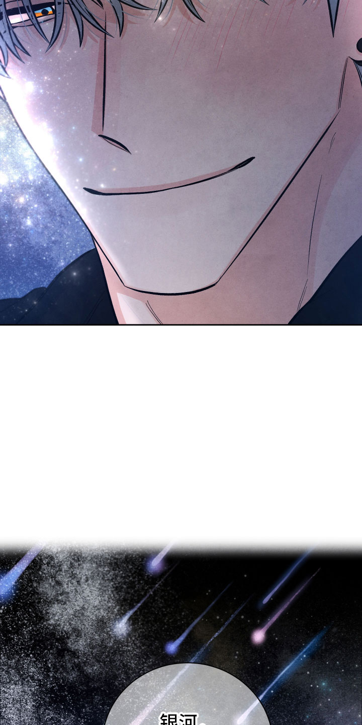 《流星落入掌中》第10章星空下 第21页