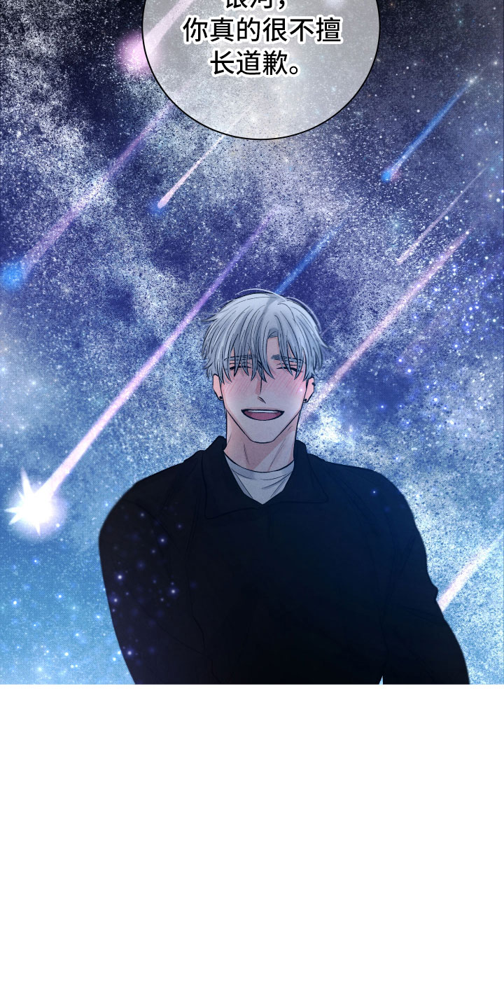 《流星落入掌中》第10章星空下 第22页