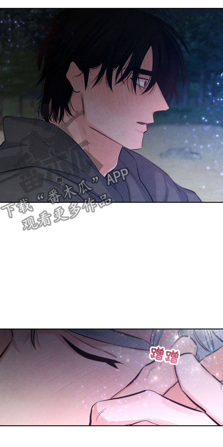 《流星落入掌中》第10章星空下 第23页