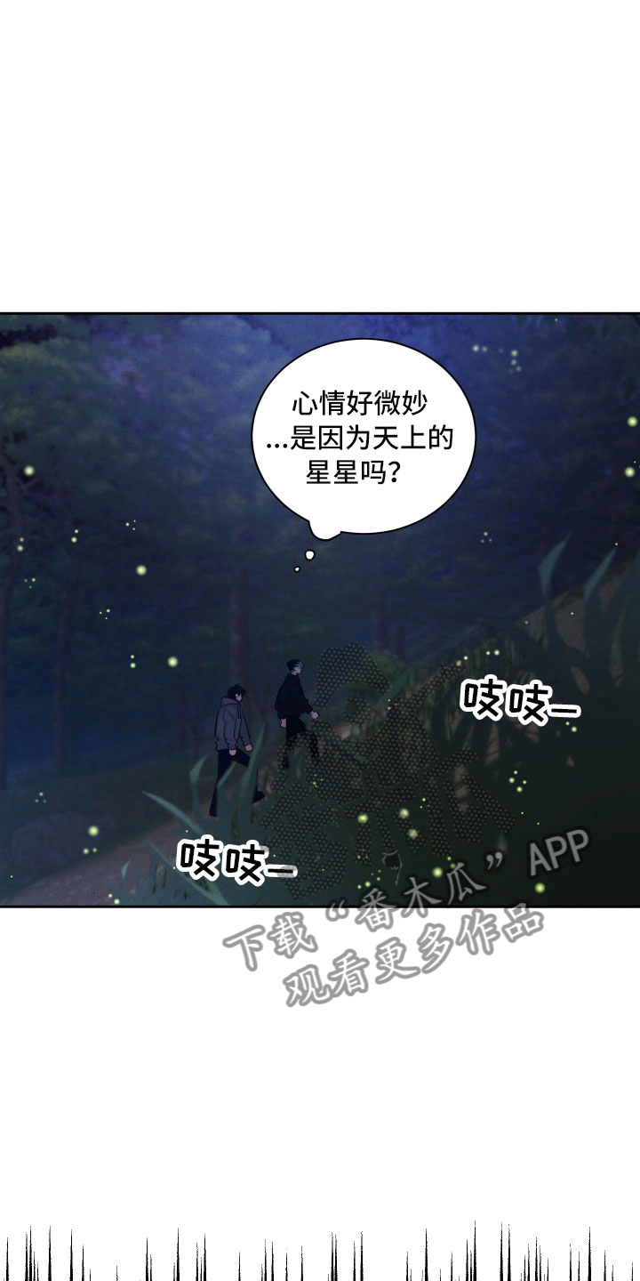 《流星落入掌中》第10章星空下 第2页