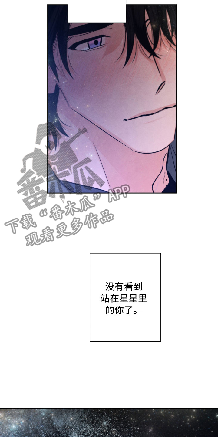 《流星落入掌中》第10章星空下 第8页
