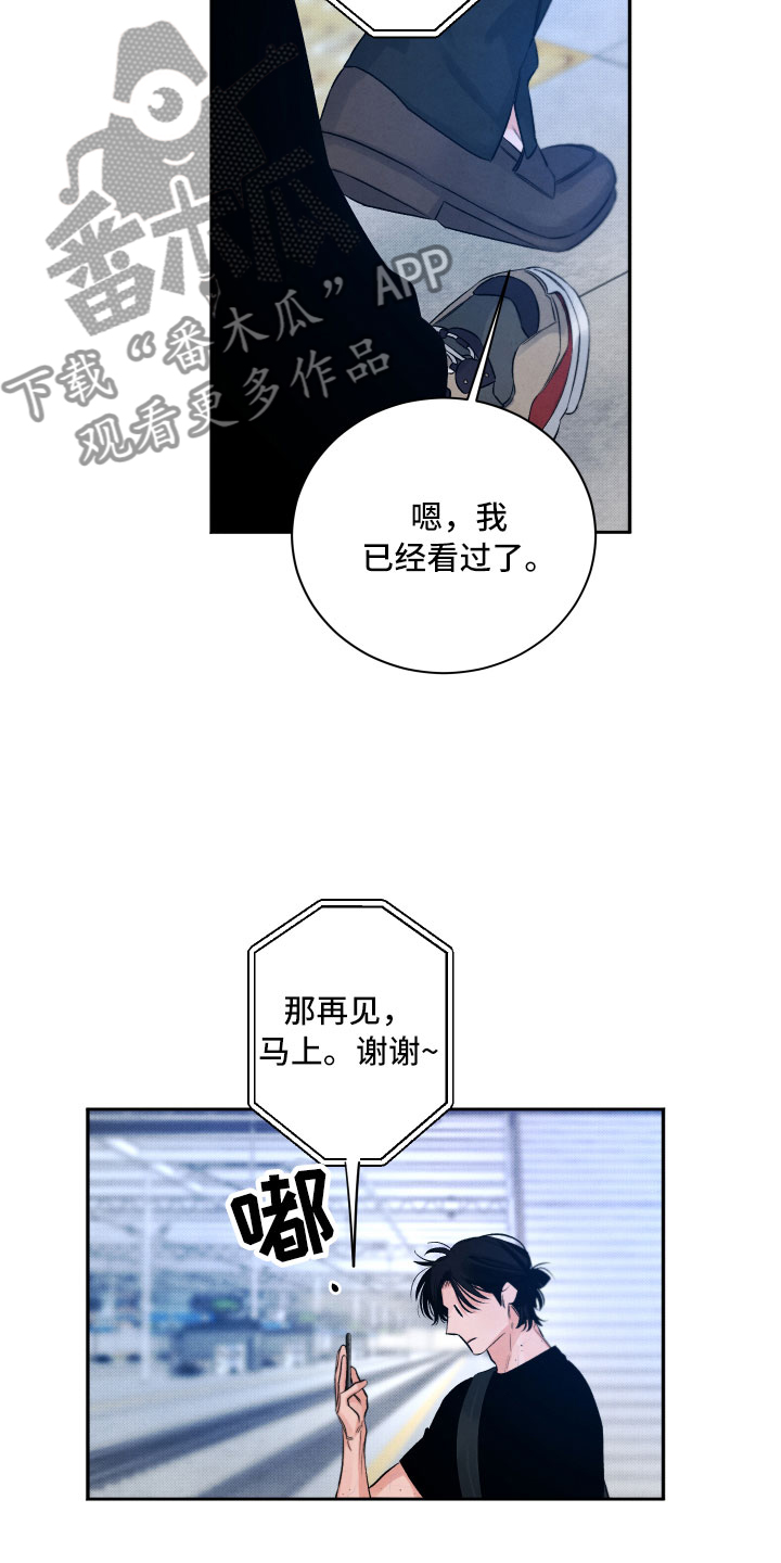 《流星落入掌中》第7章私生饭 第11页