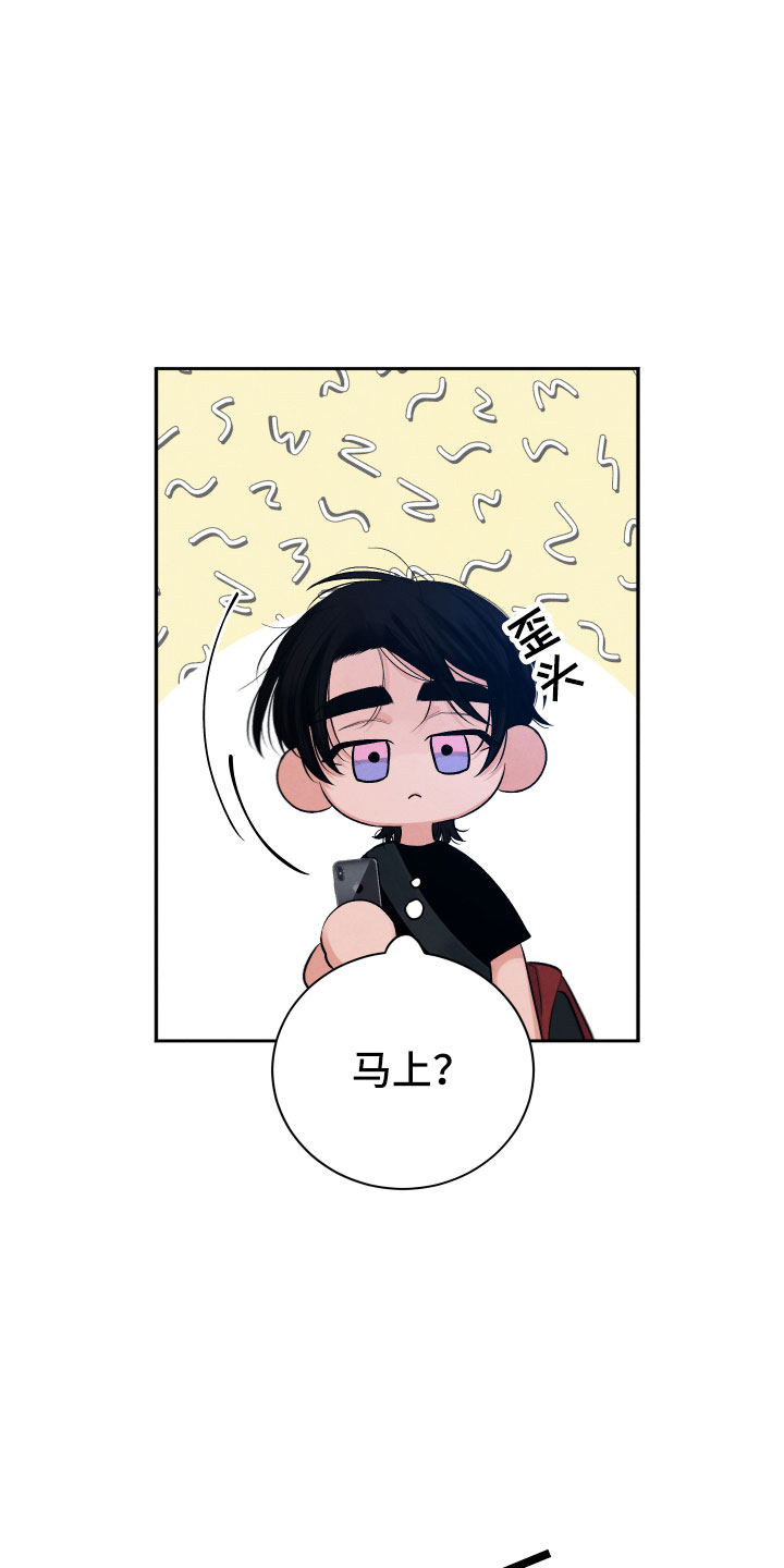 《流星落入掌中》第7章私生饭 第12页
