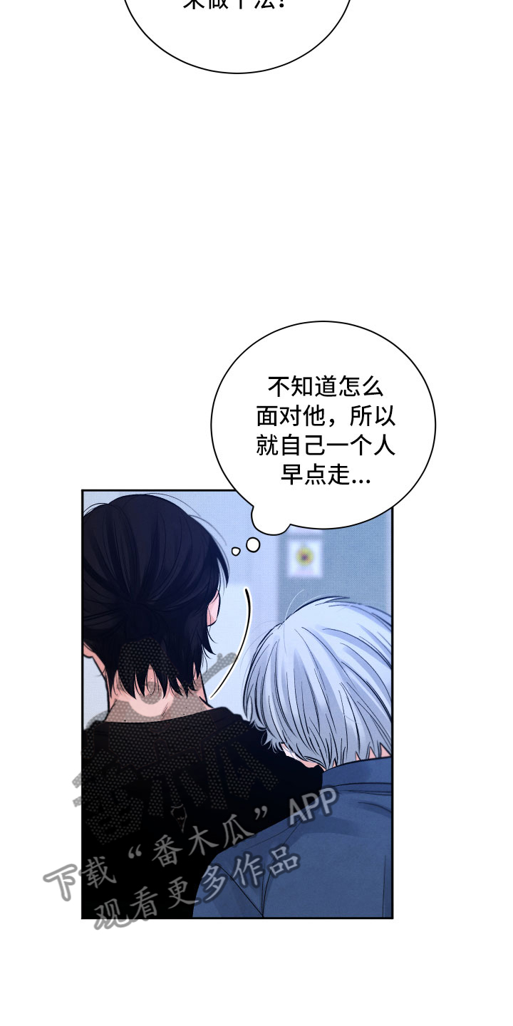 《流星落入掌中》第7章私生饭 第17页