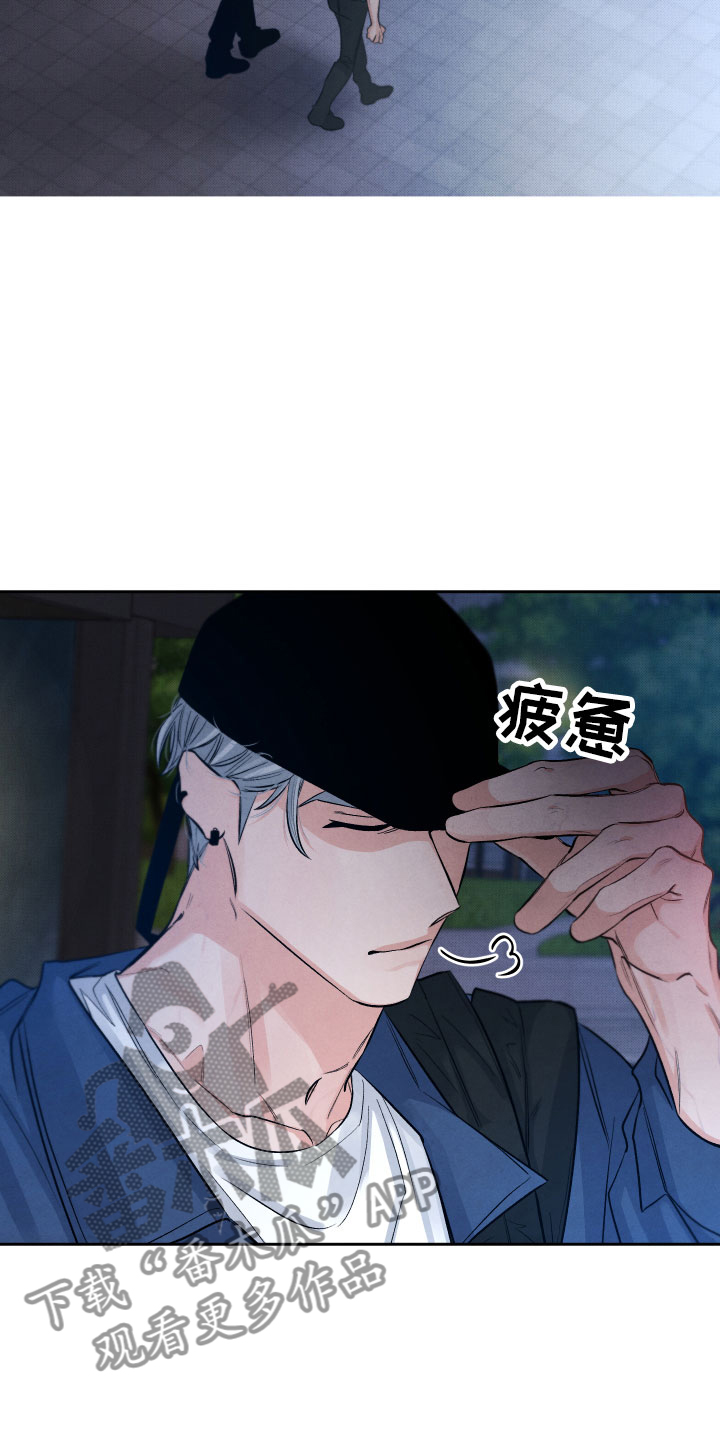 《流星落入掌中》第7章私生饭 第2页