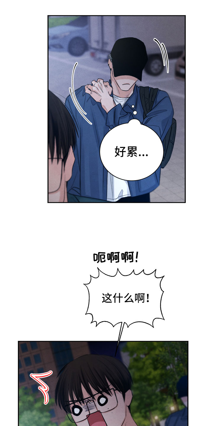 《流星落入掌中》第7章私生饭 第4页