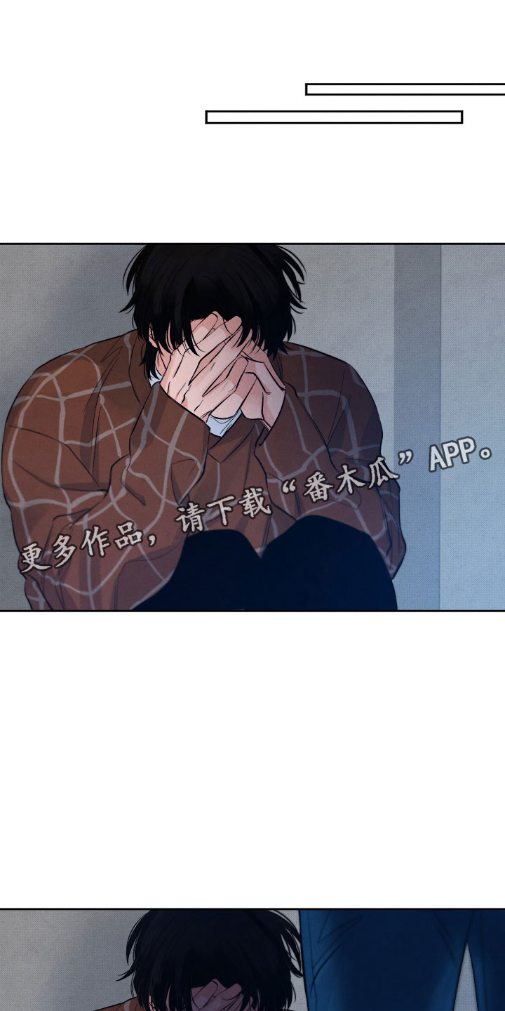 《流星落入掌中》第6章安慰 第1页