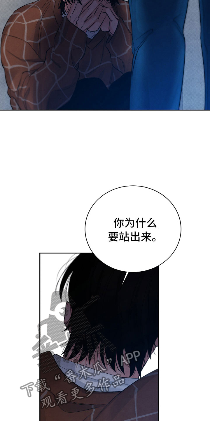《流星落入掌中》第6章安慰 第2页
