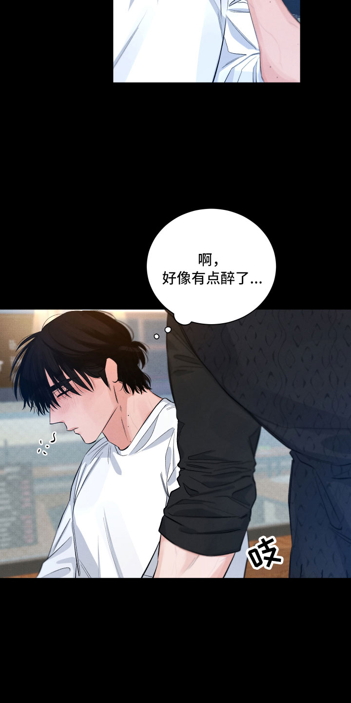 《流星落入掌中》第3章醉了 第5页