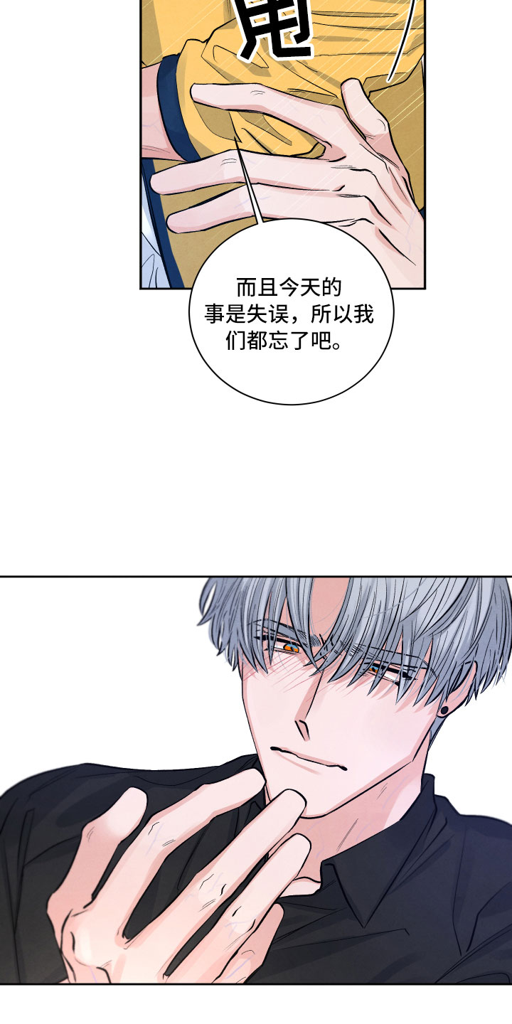 《流星落入掌中》第4章先动手的人 第10页
