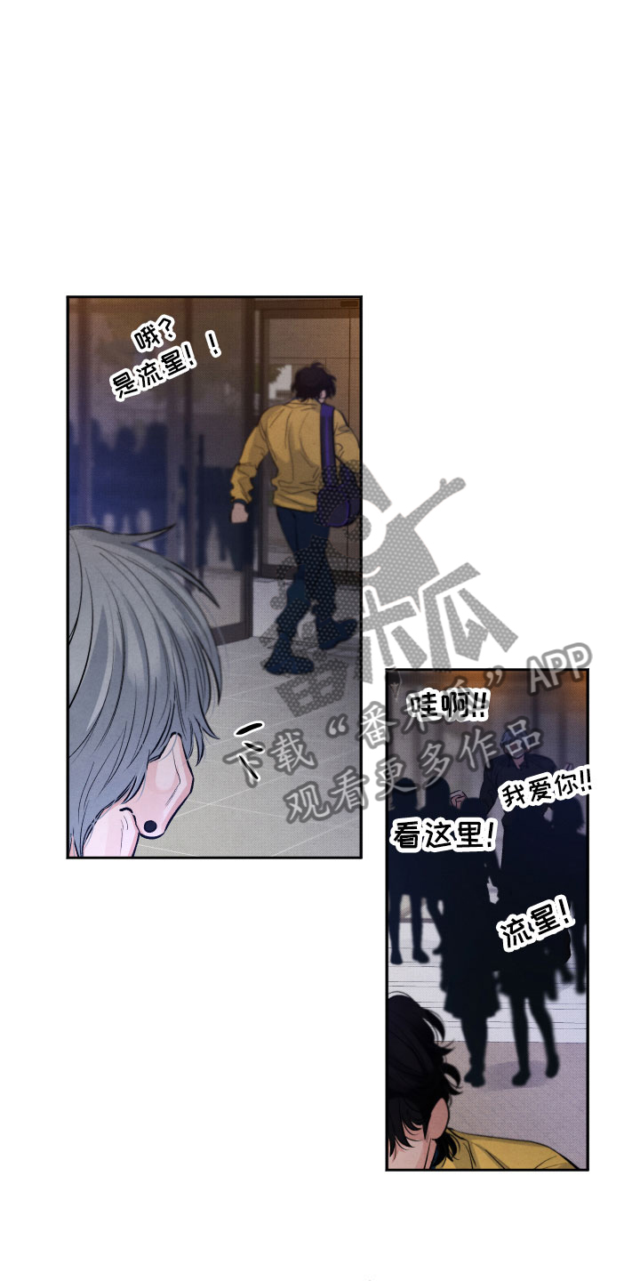 《流星落入掌中》第4章先动手的人 第11页