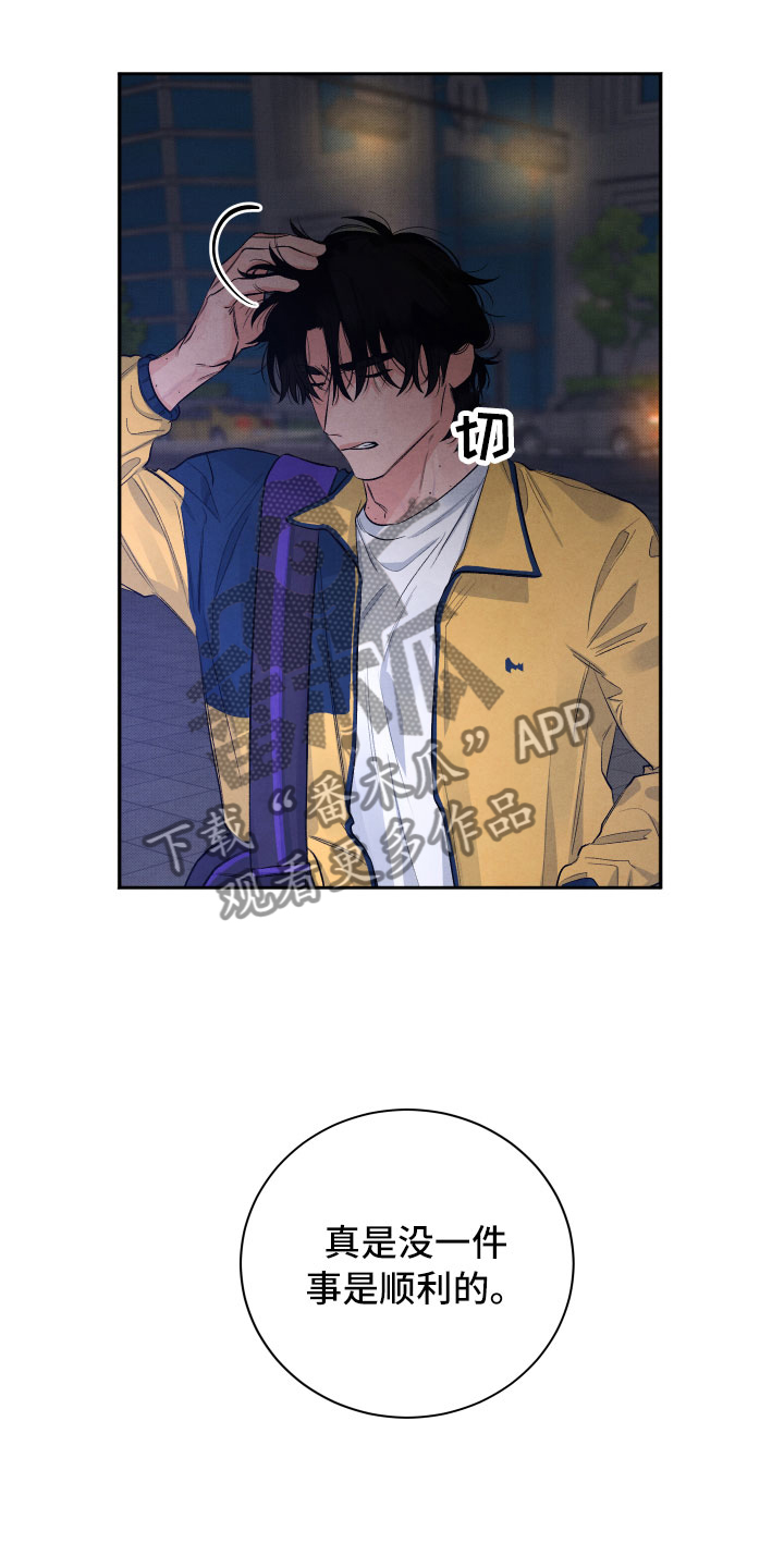 《流星落入掌中》第4章先动手的人 第14页
