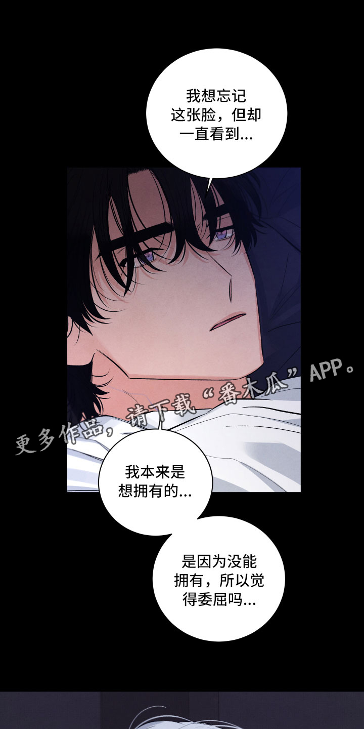 《流星落入掌中》第4章先动手的人 第1页