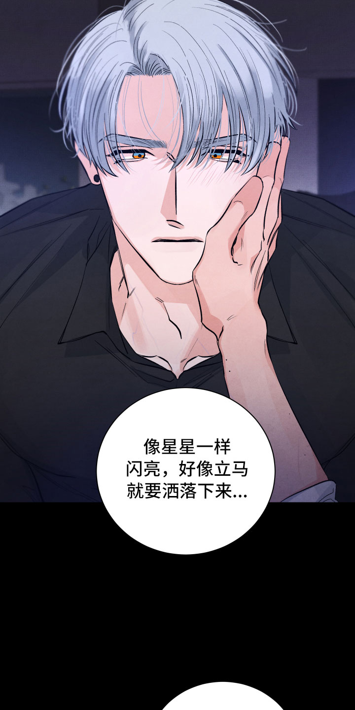 《流星落入掌中》第4章先动手的人 第2页