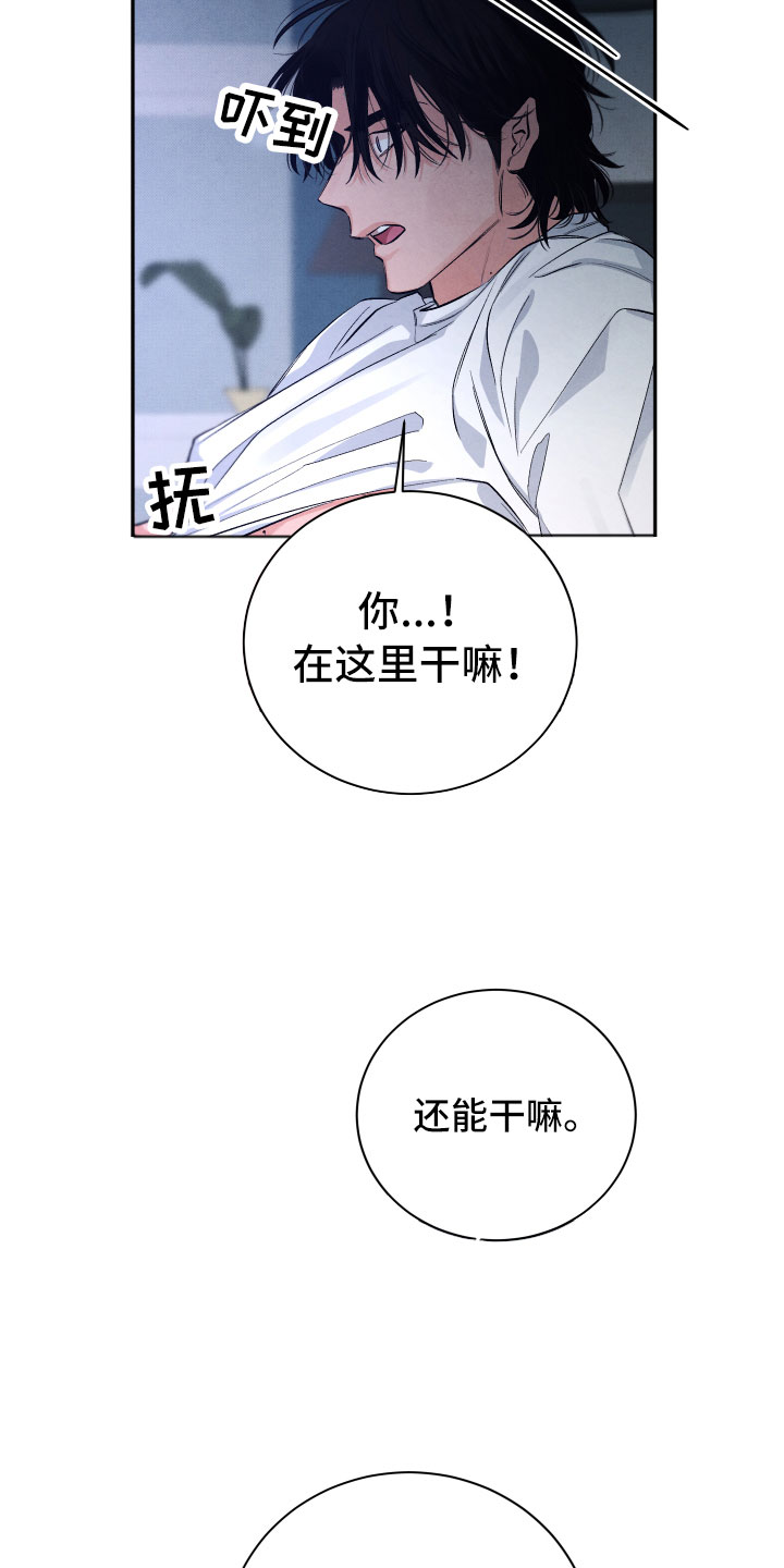 《流星落入掌中》第2章贪心 第21页