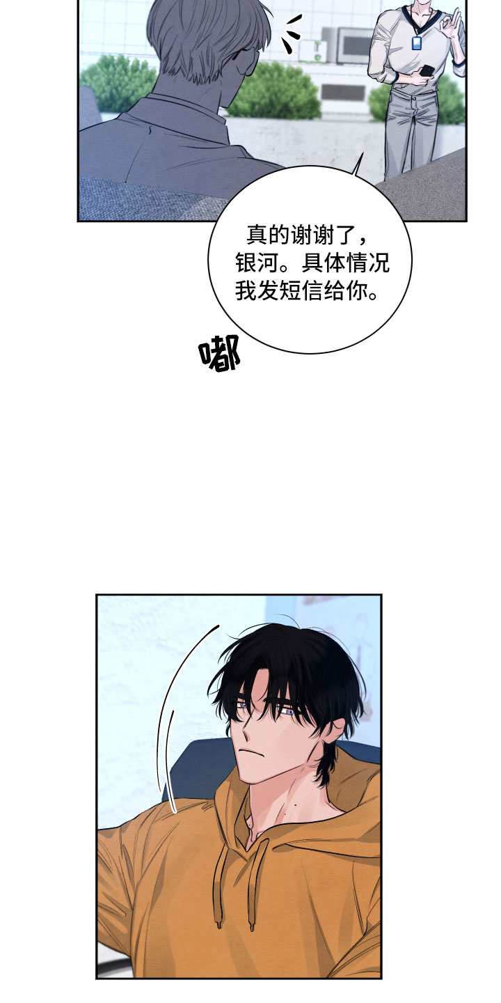《流星落入掌中》第1章再相逢 第15页