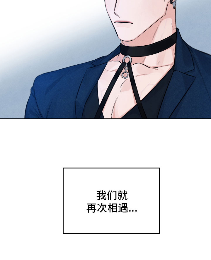 《流星落入掌中》第1章再相逢 第21页