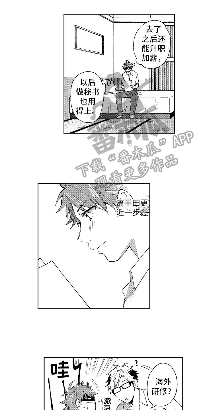 《熊猫生活》第22章计划 第5页