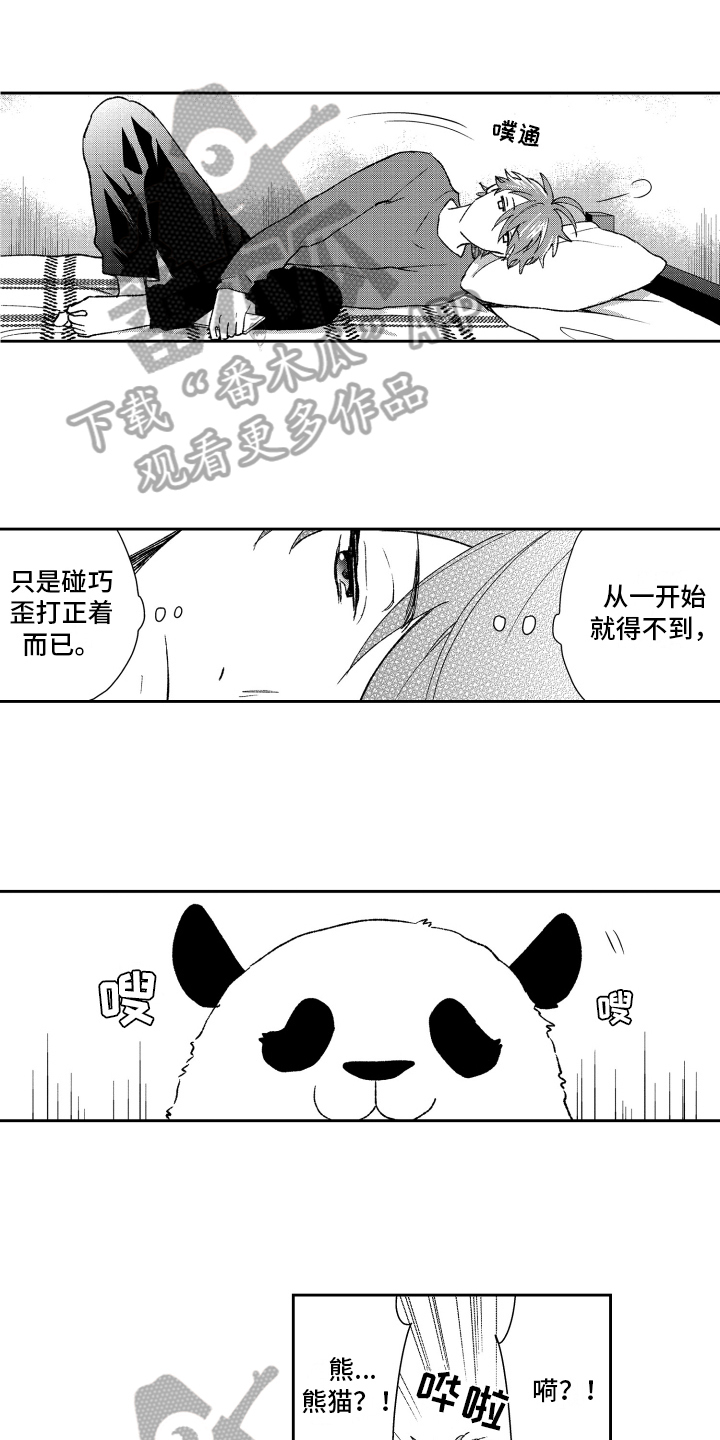 《熊猫生活》第18章重要 第1页