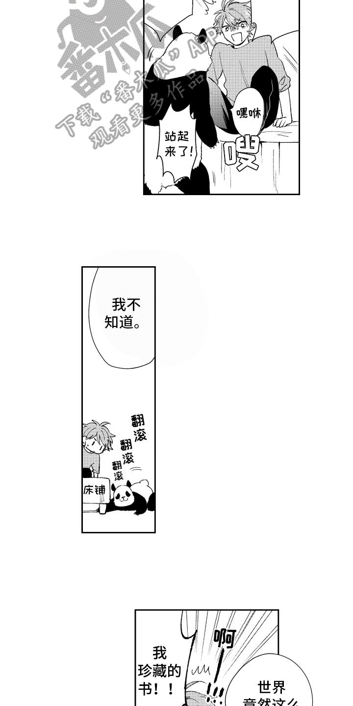 《熊猫生活》第18章重要 第2页