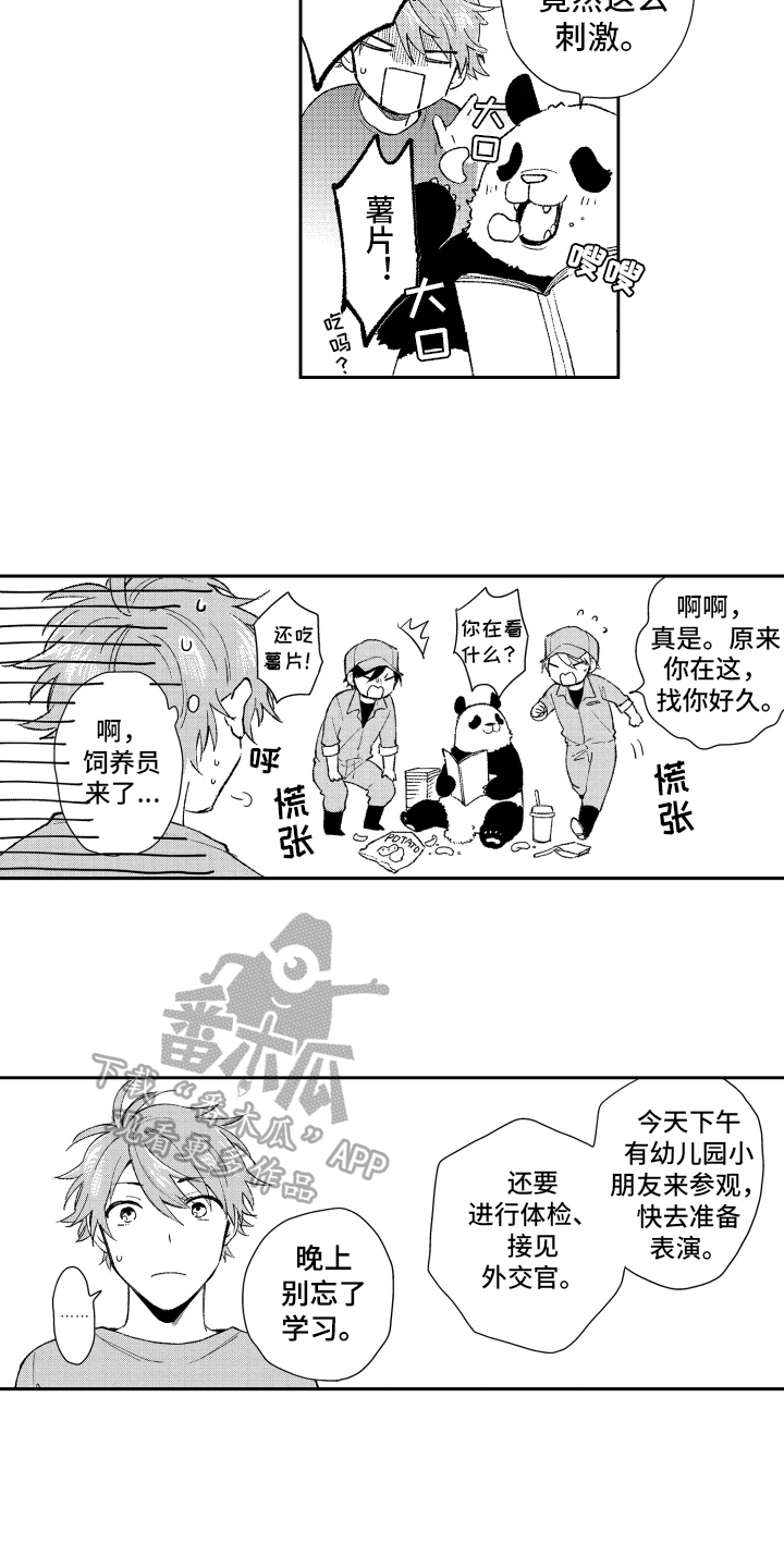 《熊猫生活》第18章重要 第3页
