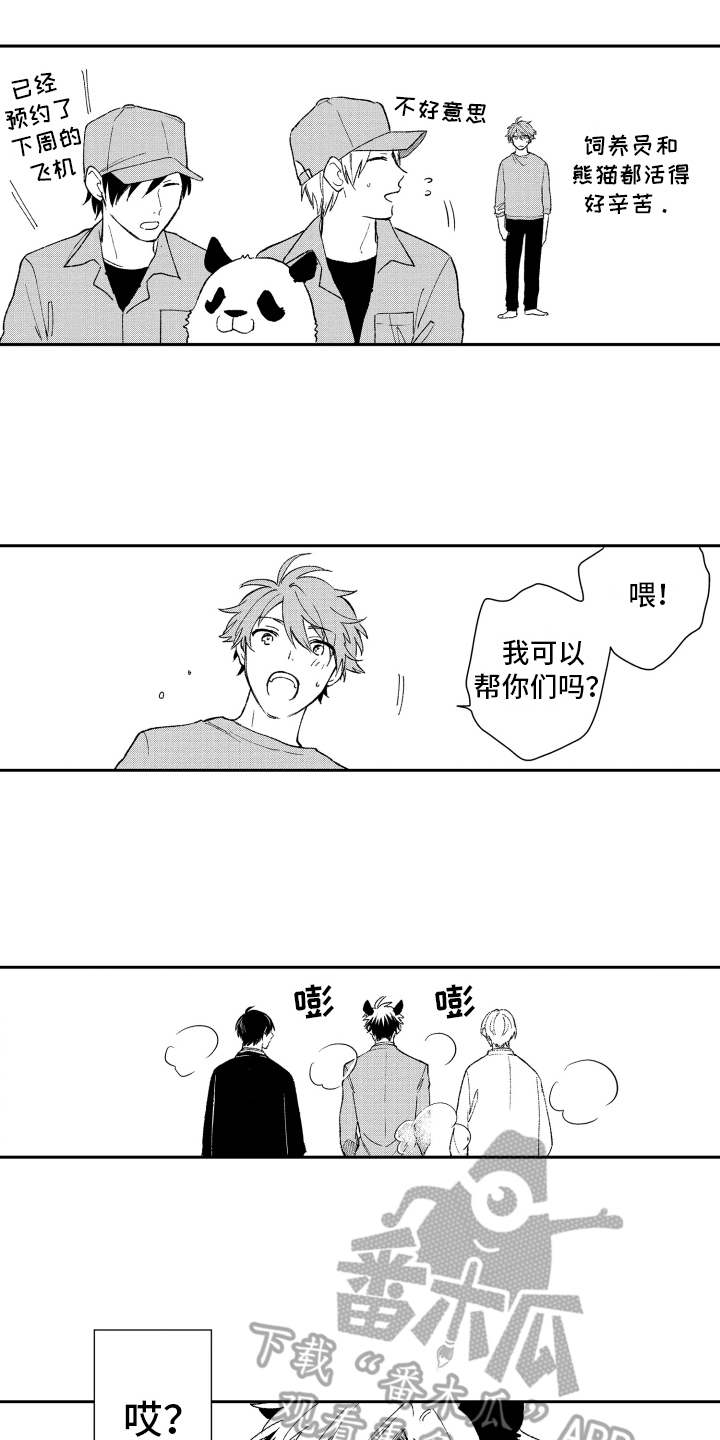《熊猫生活》第18章重要 第4页