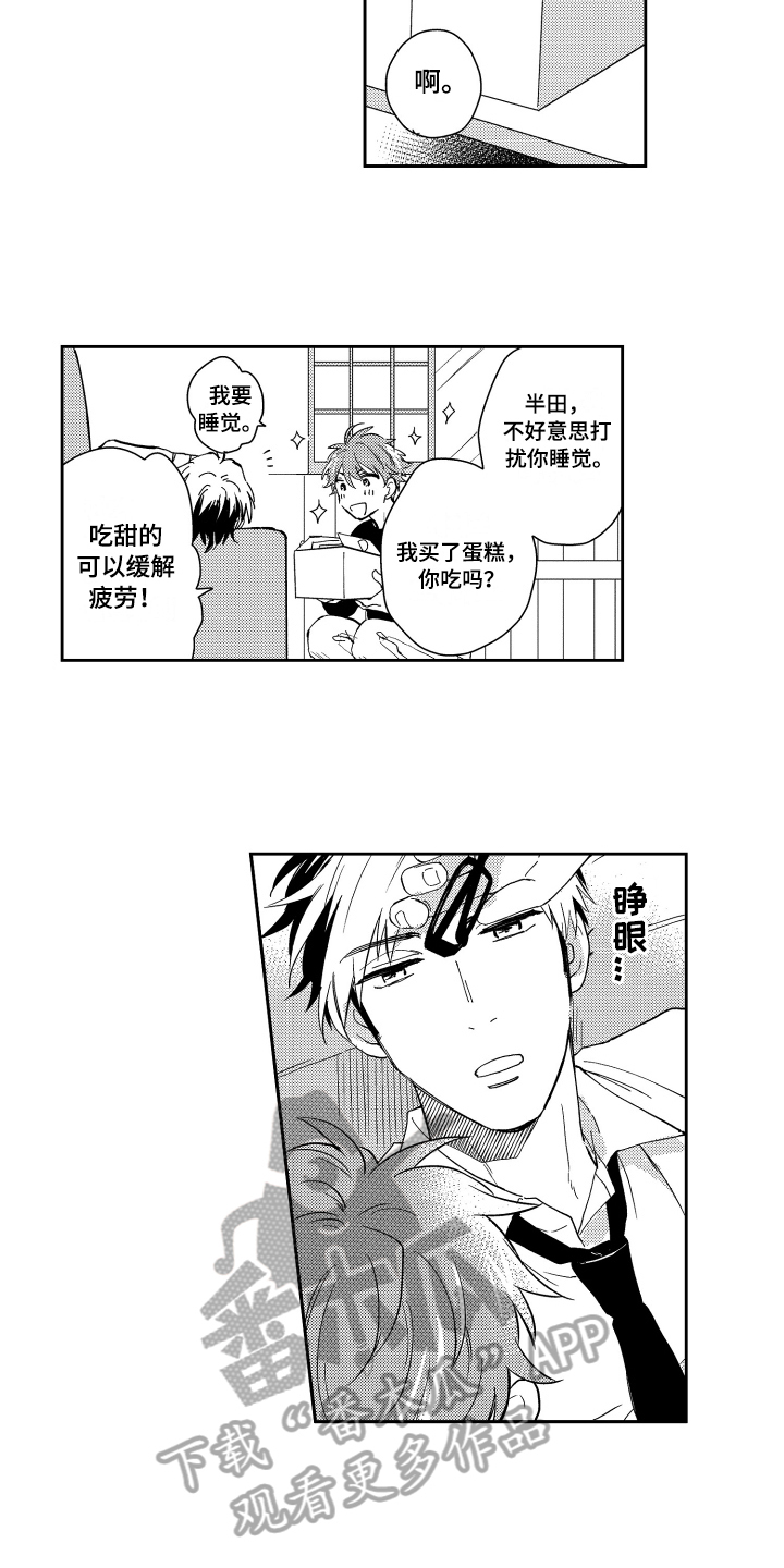 《熊猫生活》第5章建议 第9页