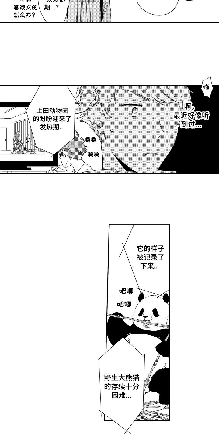 《熊猫生活》第2章应聘成功 第8页