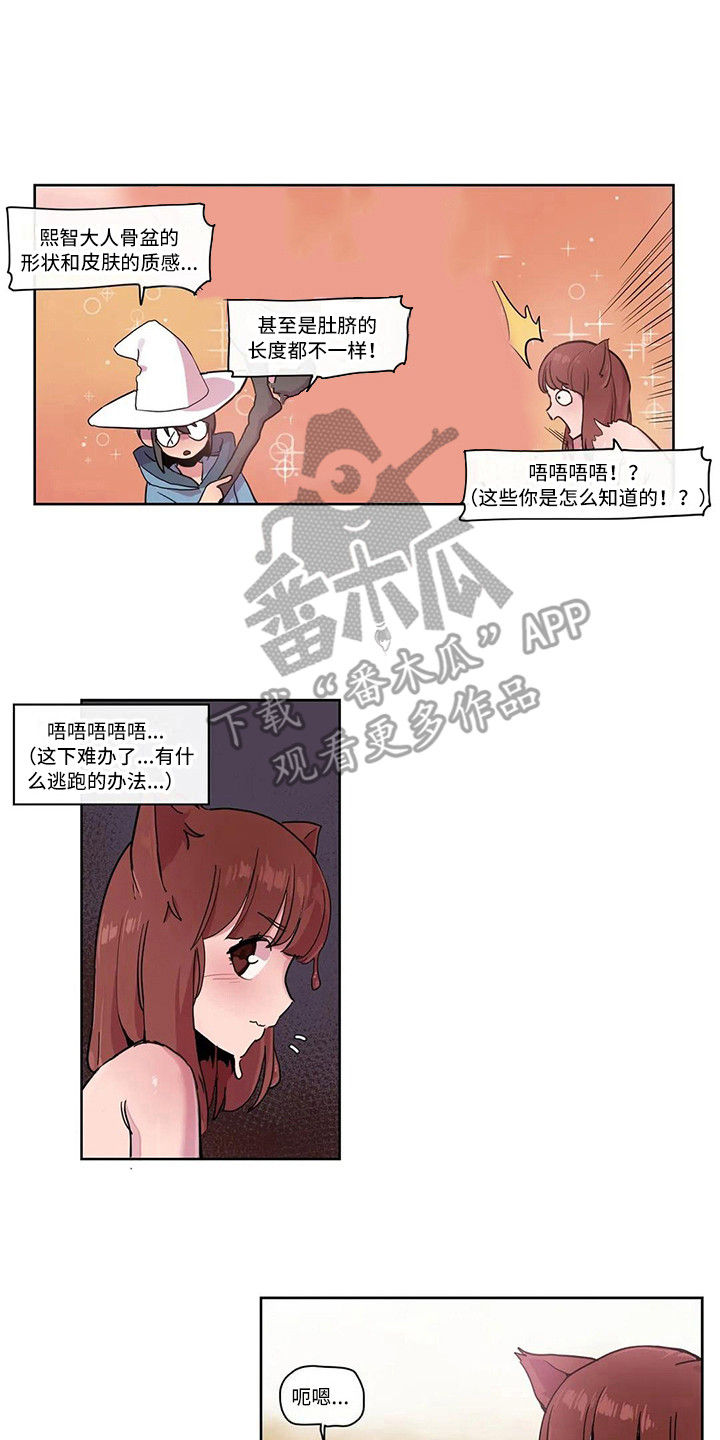 《许愿神女》第20章反击 第2页