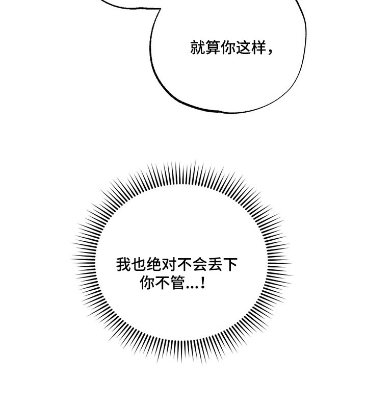 《意外之喜》第62章我绝不会丢下你 第20页