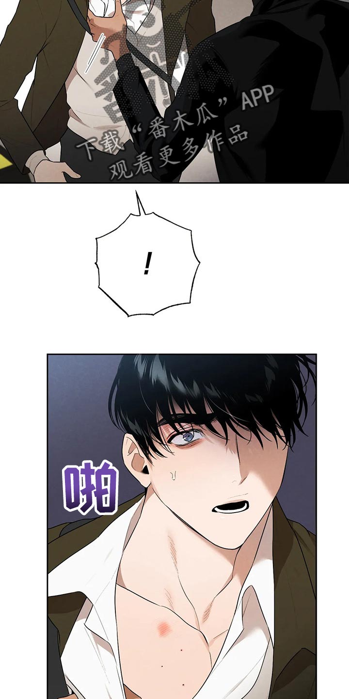 《意外之喜》第56章想确认的事 第17页