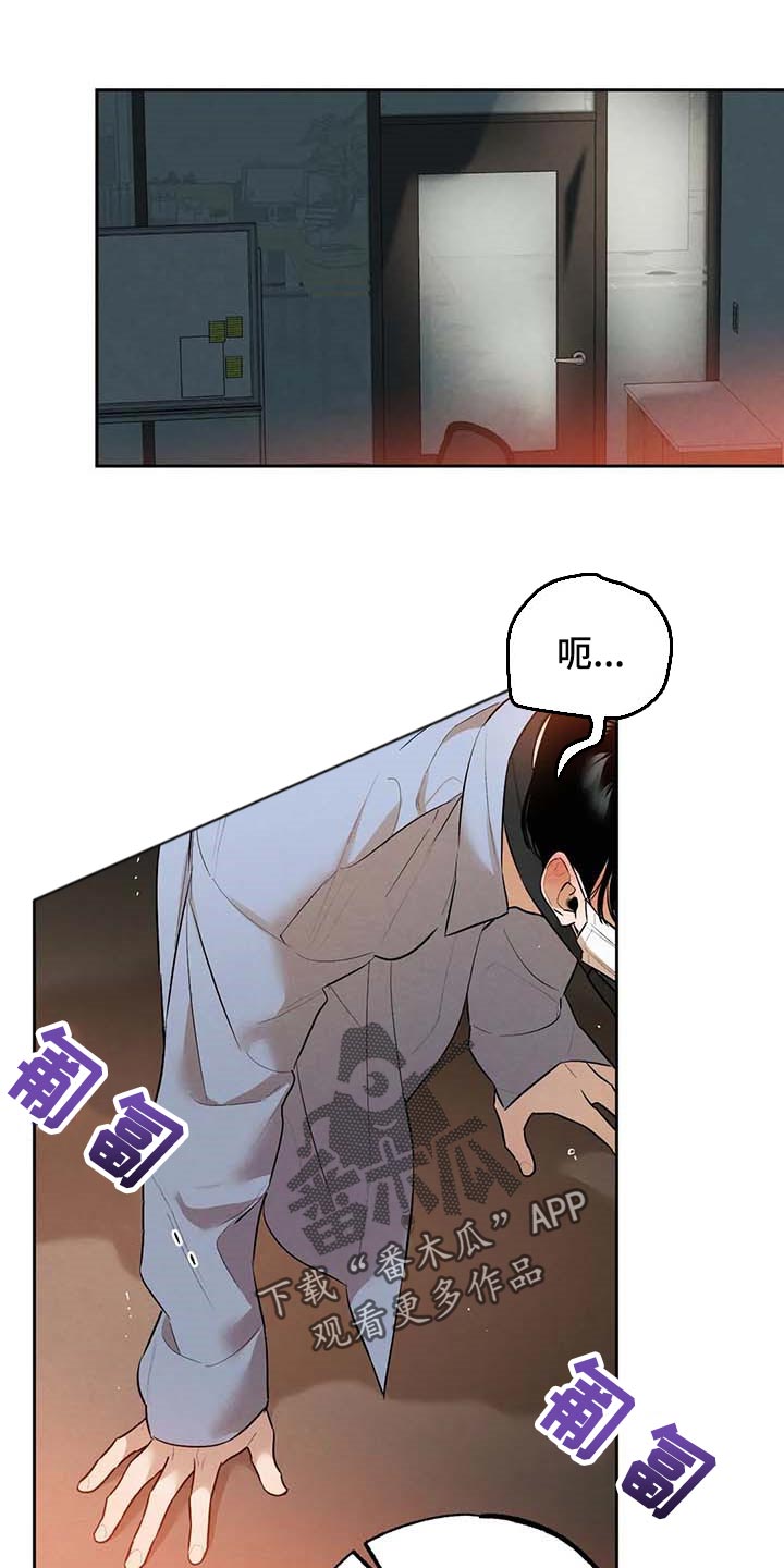 《意外之喜》第50章散步 第11页