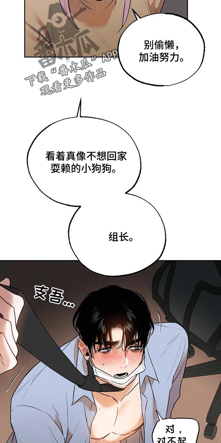 《意外之喜》第50章散步 第14页