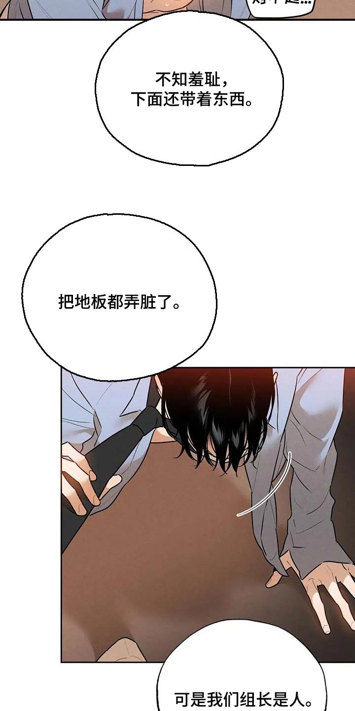 《意外之喜》第50章散步 第15页